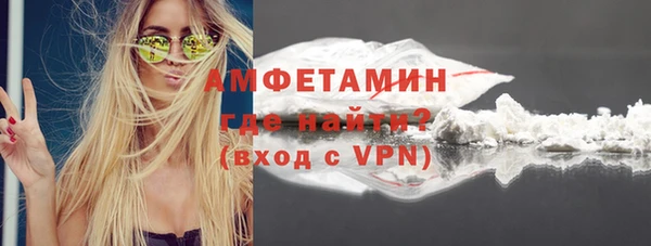 гидра Верхний Тагил