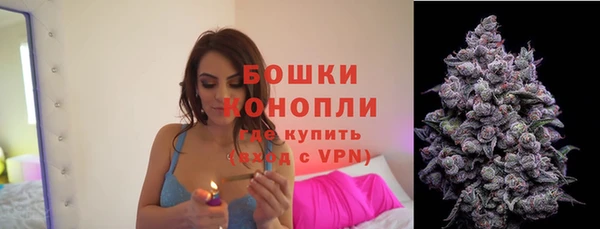 гидра Верхний Тагил