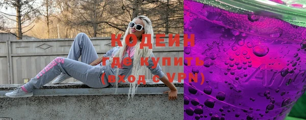 гидра Верхний Тагил